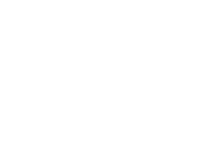 Evolution games at Neon Wild Casino